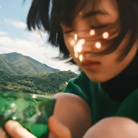 君临国际 user